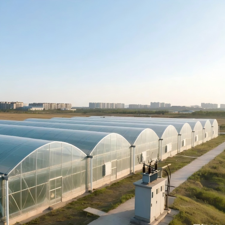 Polyethylene Film Greenhouse with Clear Sheeting